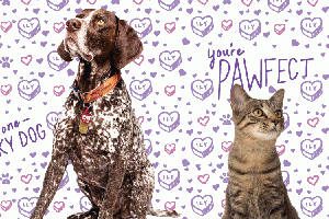 FREE Valentine Card with Your Pets Photo