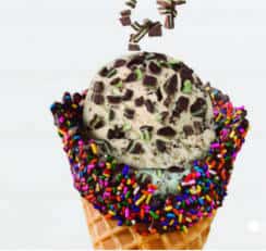 FREE Fancy Cone Ice Cream Sample at Baskin-Robbins