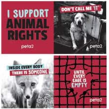 FREE PETA Like You, Only Different Stickers