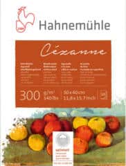 FREE Hahnemühle Cézanne and Harmony Watercolor Paper Sample