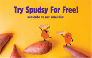 FREE Spudsy Sweet Potato Puffs Snacks Sample