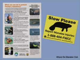FREE Save the Manatee Materials