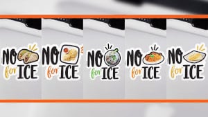 FREE No Tacos for ICE Sticker