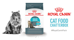 Royal Canin Cat Food Chat Pack