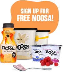 FREE Noosa Yogurt