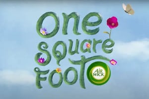 One Square Food