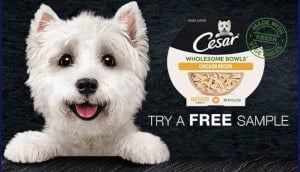 Cesar Wholesome Bowl Dog Food