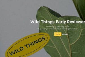 FREE Wild Things Plant