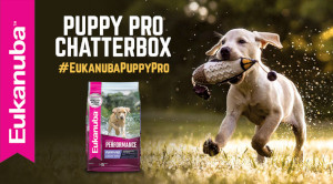 FREE Eukanuba Puppy Pro Chat Pack