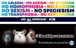 FREE PETA Animal Rights Bookmarks
