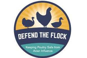 FREE Defend the Flock Magnet
