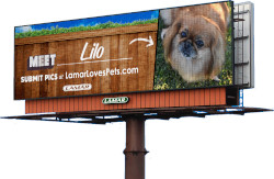 Customize Billboard Design Of Your Pet: Displayed on Lamar Digital  Billboards
