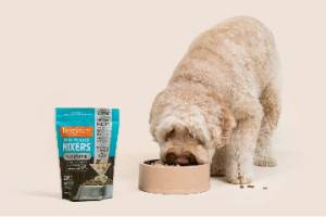 FREE Instinct Rawboost Mixers Pet Food Sample