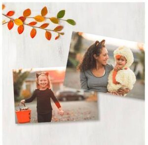 FREE Photo Cards