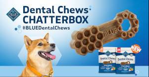 FREE Blue Buffalo Dental Chews Chat Pack