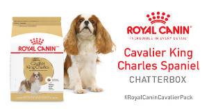 FREE Royal Canin Cavalier King Charles Chat Pack