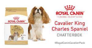 FREE Royal Canin Pomeranian Chat Pack